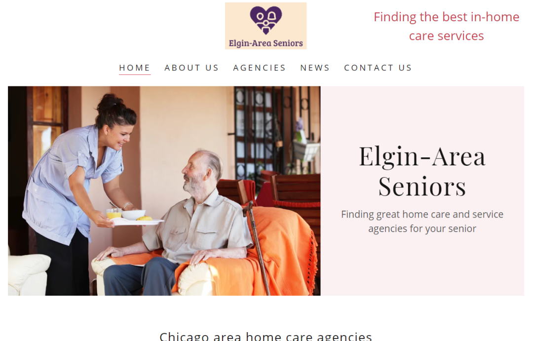 Elgin Area Seniors website design