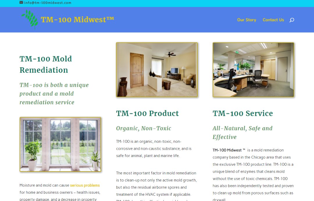 TM-100 Midwest Website Design